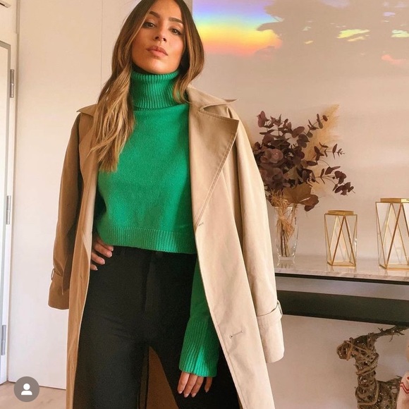 Zara Sweaters - ZARA oversized cropped turtle neck high collar knit sweater blogger favorite